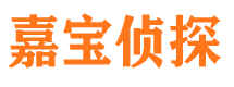 林芝市私家侦探